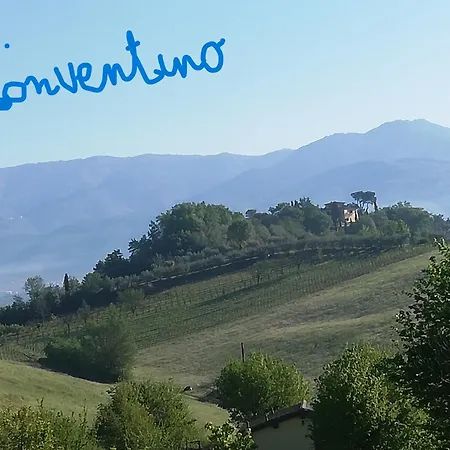 Il Conventino Tra Chianti Arezzo E Firenze * Terranuova Bracciolini