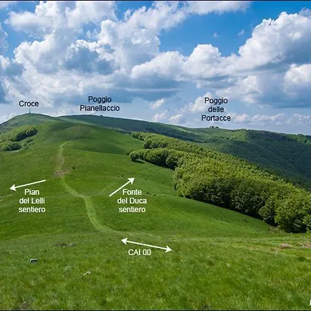 Holiday home Il Conventino Tra Chianti Arezzo E Firenze Terranuova Bracciolini