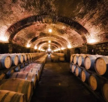 Il Conventino Tra Chianti Arezzo E Firenze *